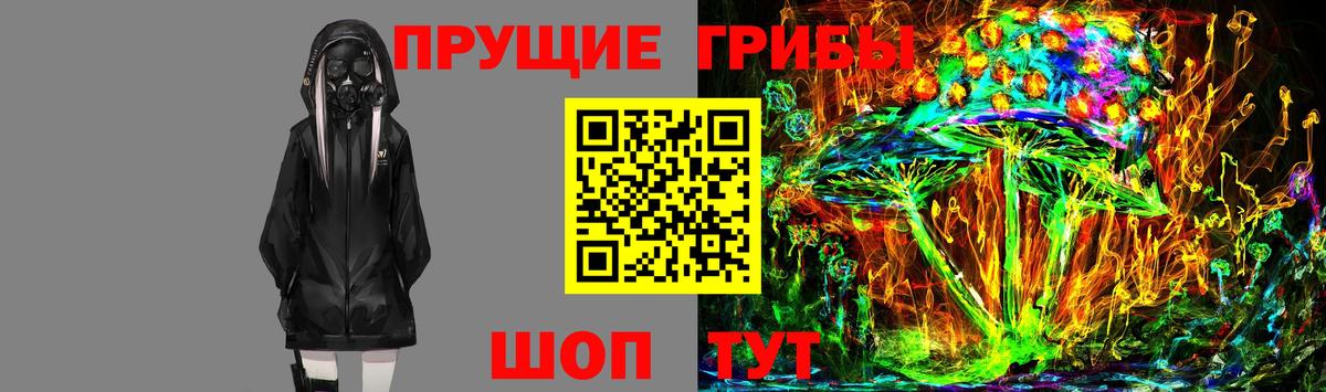 Псилоцибиновые грибы Psilocybe  Вход с VPN  Новотроицк 